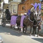 carlton_carriages_016_purple