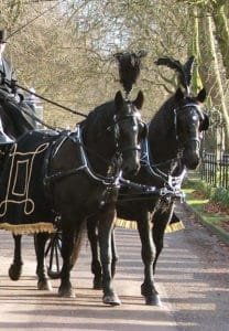 Funeral Carriage with Diesel & Danny
