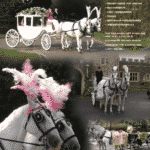 Carlton Carriages poster whites with address