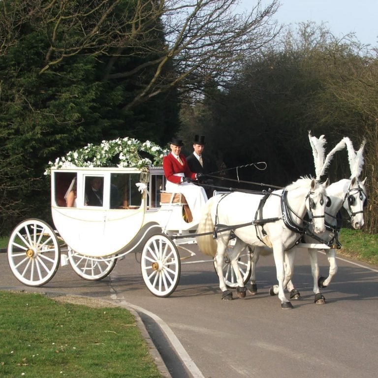 Boris and Tzar pulling the Glass Coach