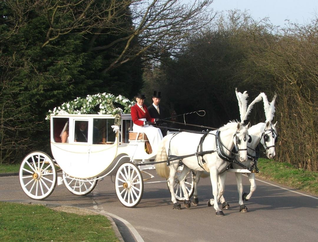 Carlton Carriages Horse drawn carriage hire for all occasions