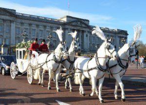 Carlton Carriages Glass Coach and four-in-hand team outside Buckingham Palace
